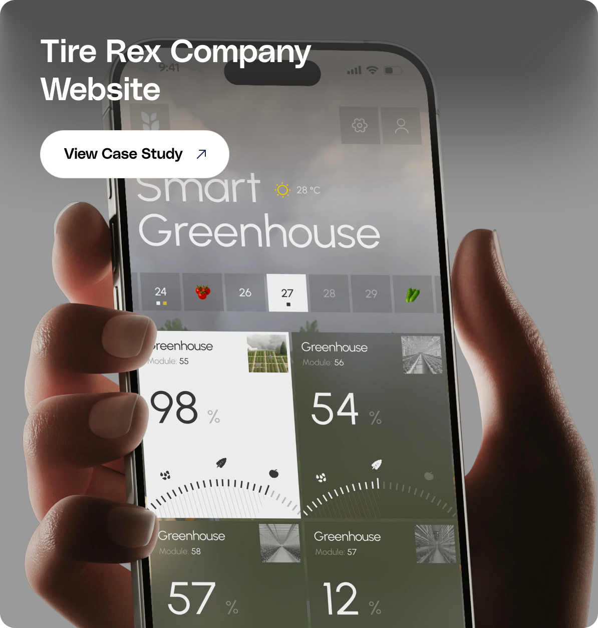 Tire Rex Company Website